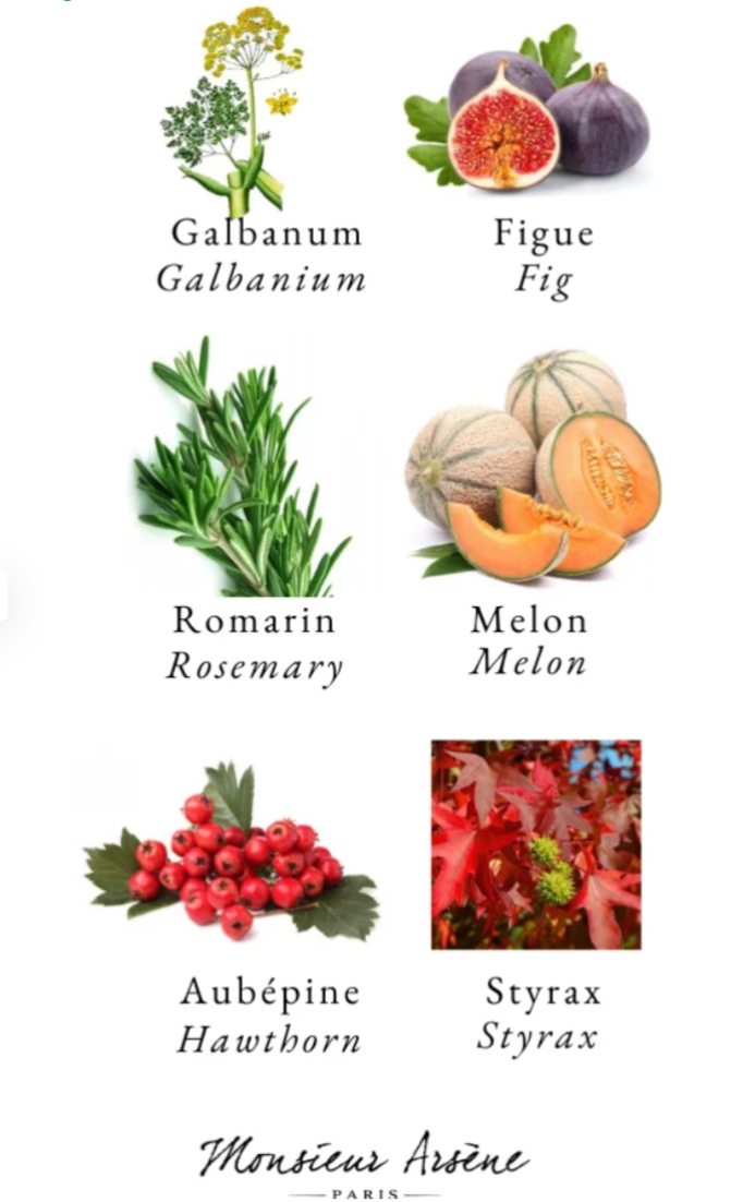 eau de parfum Bois de Barbarie : notes du parfum | Monsieur Arsène