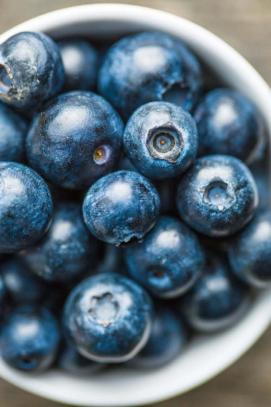 Antioxydant, blueberries, Myrtilles, Le Pouvoir des Antioxydants : combattez le vieillissement cellulaire | Monsieur Arsène
