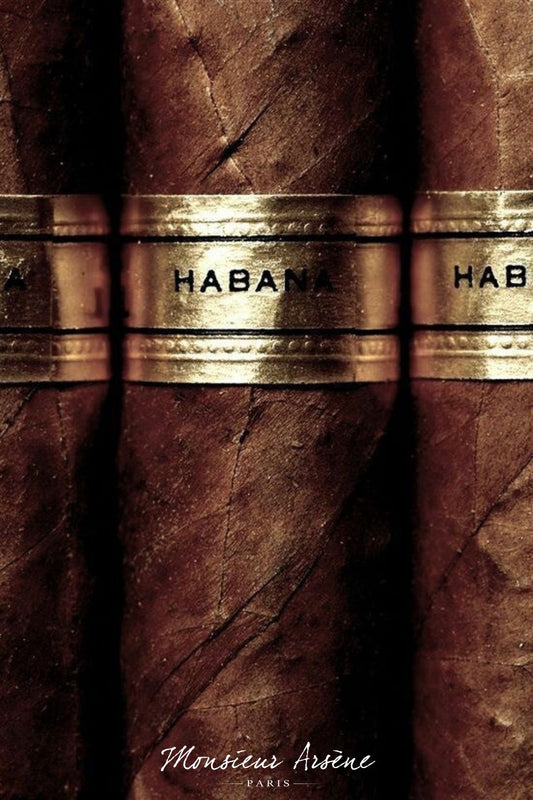 Le tabac en parfumerie : des effluves aromatiques riches et élégantes