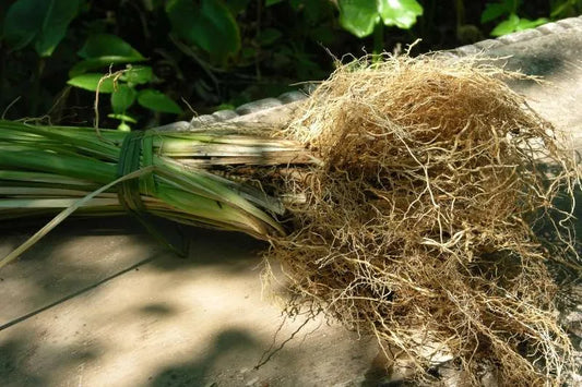 vetiver parfumerie parfum