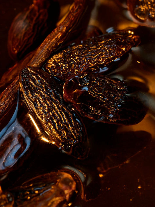 La Fève Tonka en Parfumerie : Origine, Coumarine et Sillage Gourmand